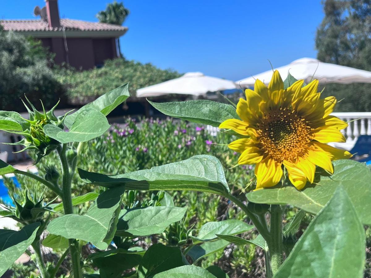 מארבלה B&B Villa Michieli מראה חיצוני תמונה